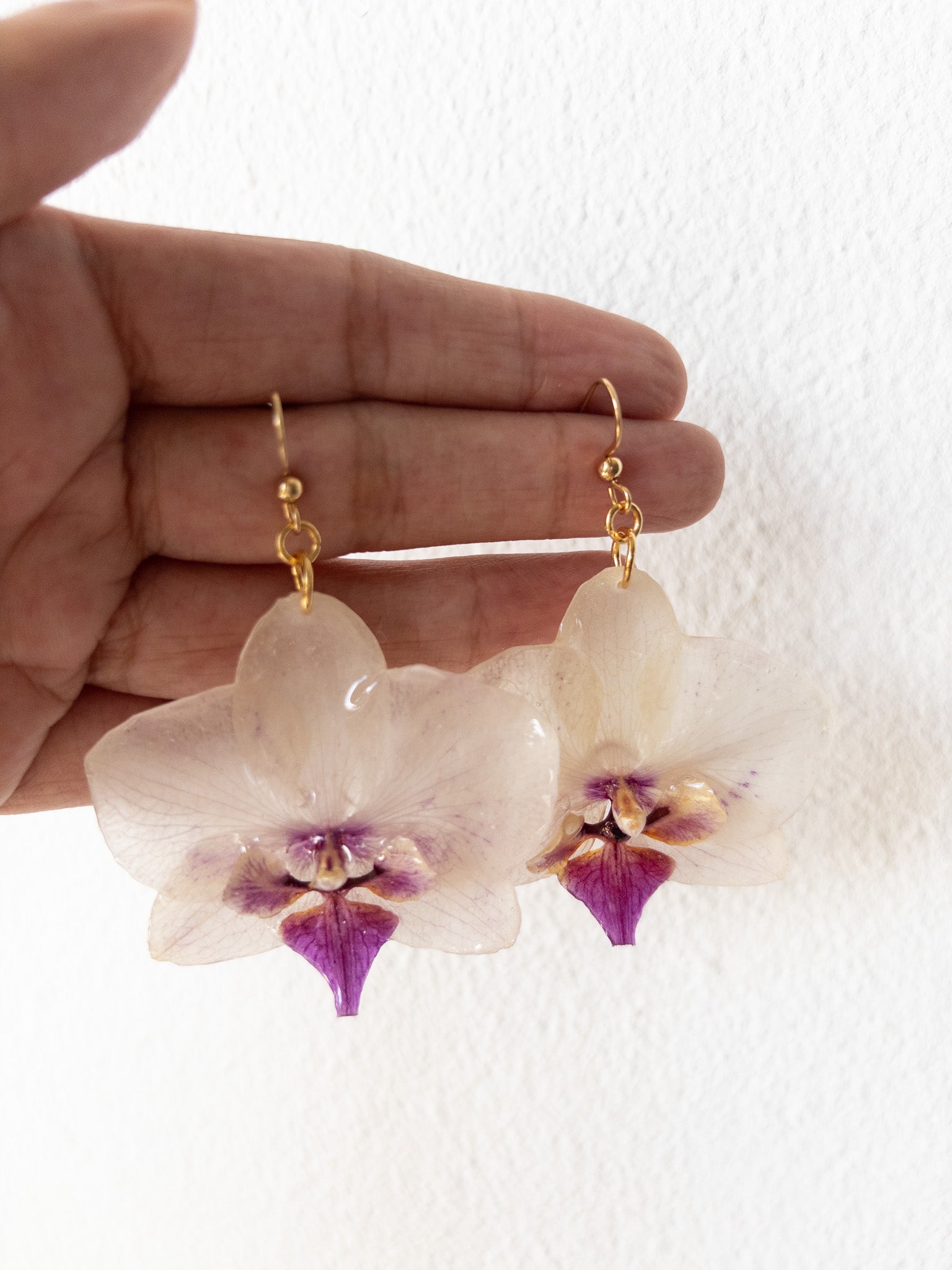 Pantallas de Flores Naturales en Resina en Puerto Rico