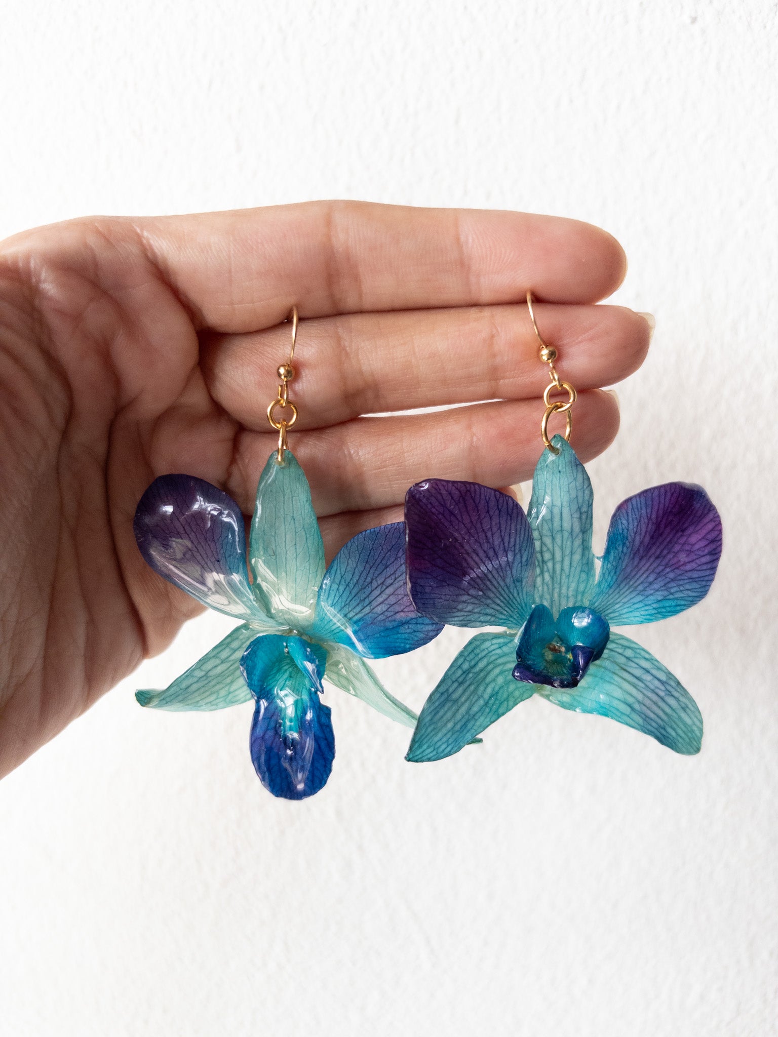 Orquidea Azul Pantallas Doradas