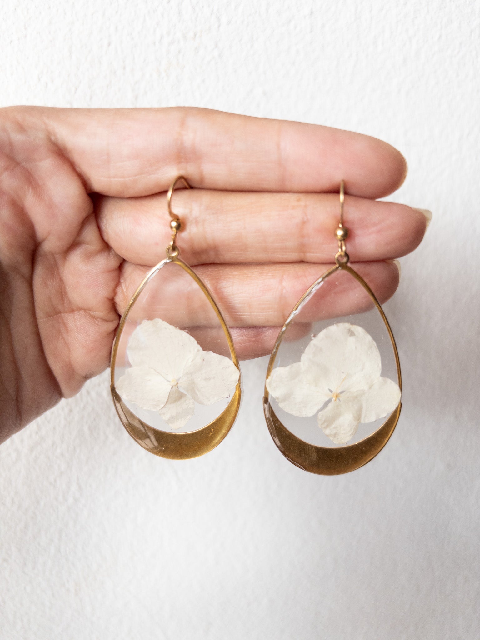 Hortensia Pantallas Gold