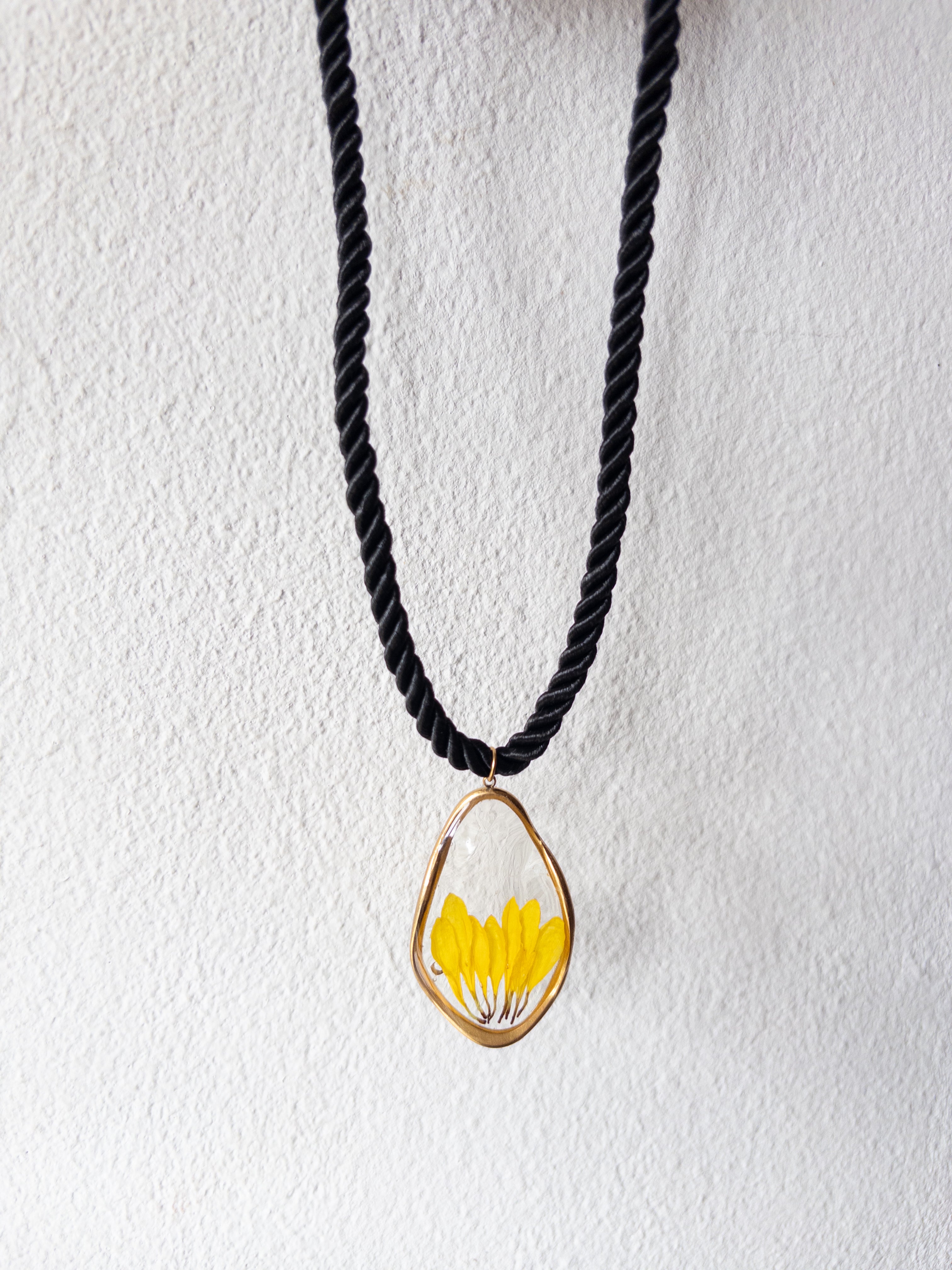 Margarita Black Collar