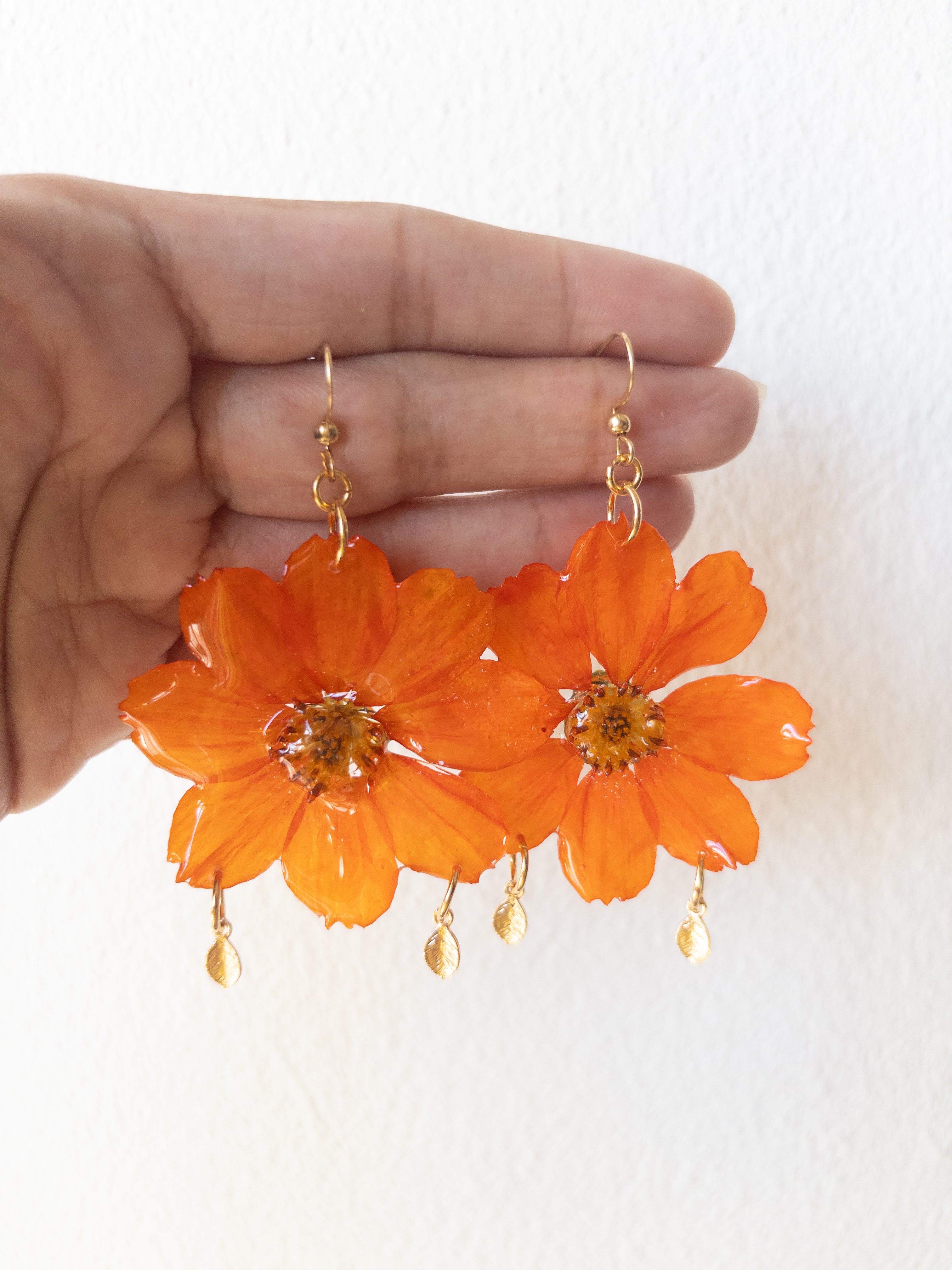 Cosmos Pantallas Doradas